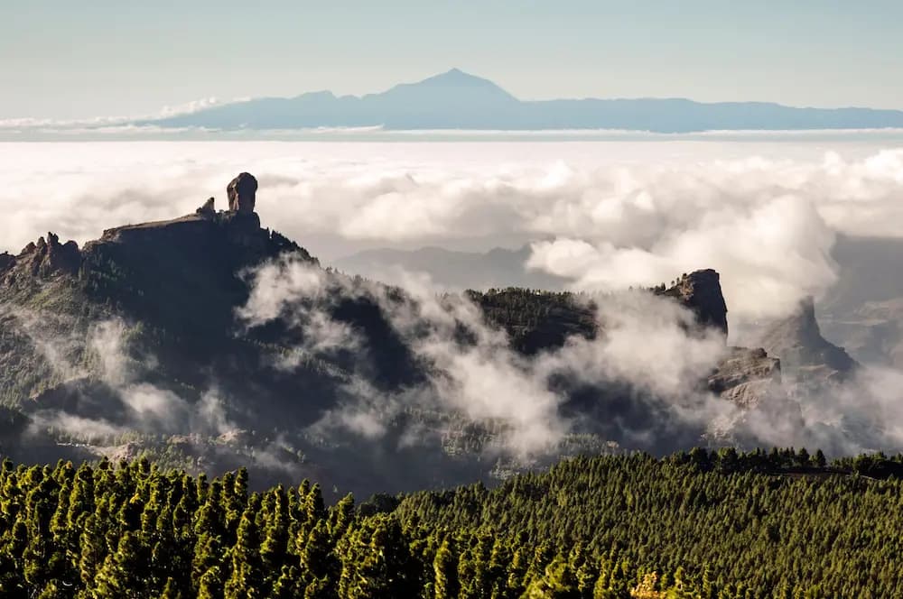 Imagen de Calidad y Medioambiente