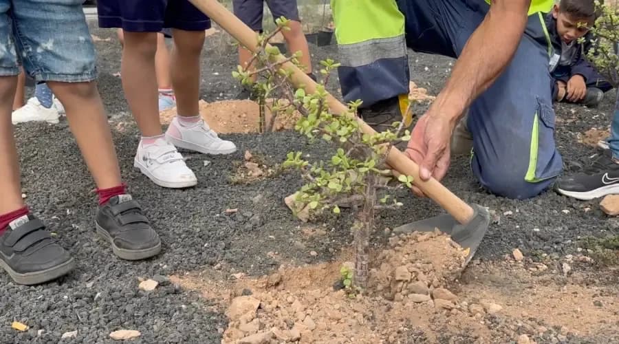 Portada de la noticia