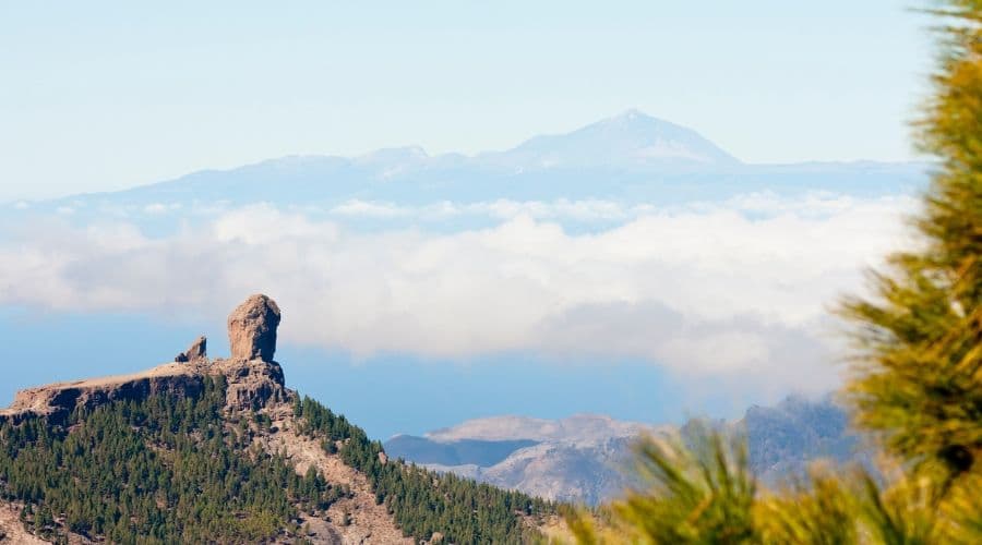 Portada de la noticia