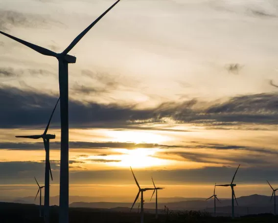 Portada de la noticia