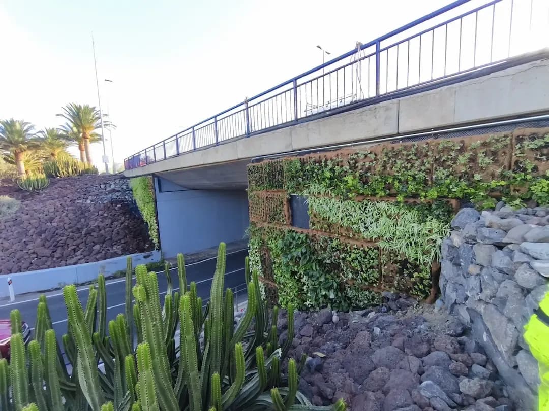 Portada de noticia: Ayagaures Medioambiente finaliza el proyecto de jardines verticales en la GC1