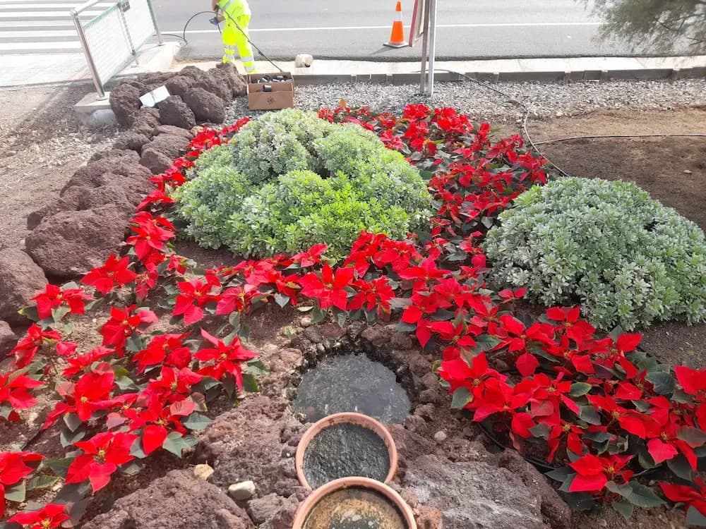 Portada de la noticia