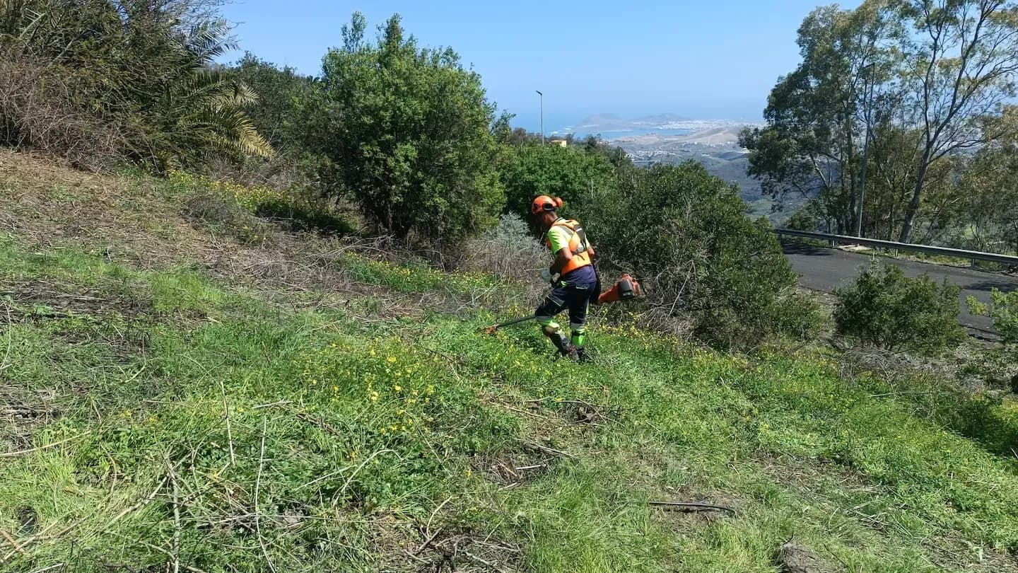 Portada de la noticia