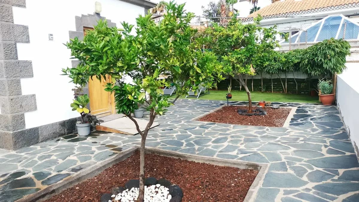 Portada de noticia: Ayagaures Medioambiente renueva el servicio de conservación de las zonas verdes del Cuartel General del Mando Aéreo de Canarias