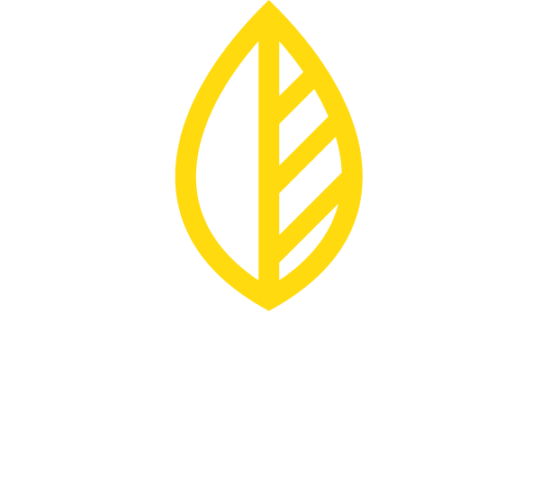 Logo Ayagaures Medioambiente