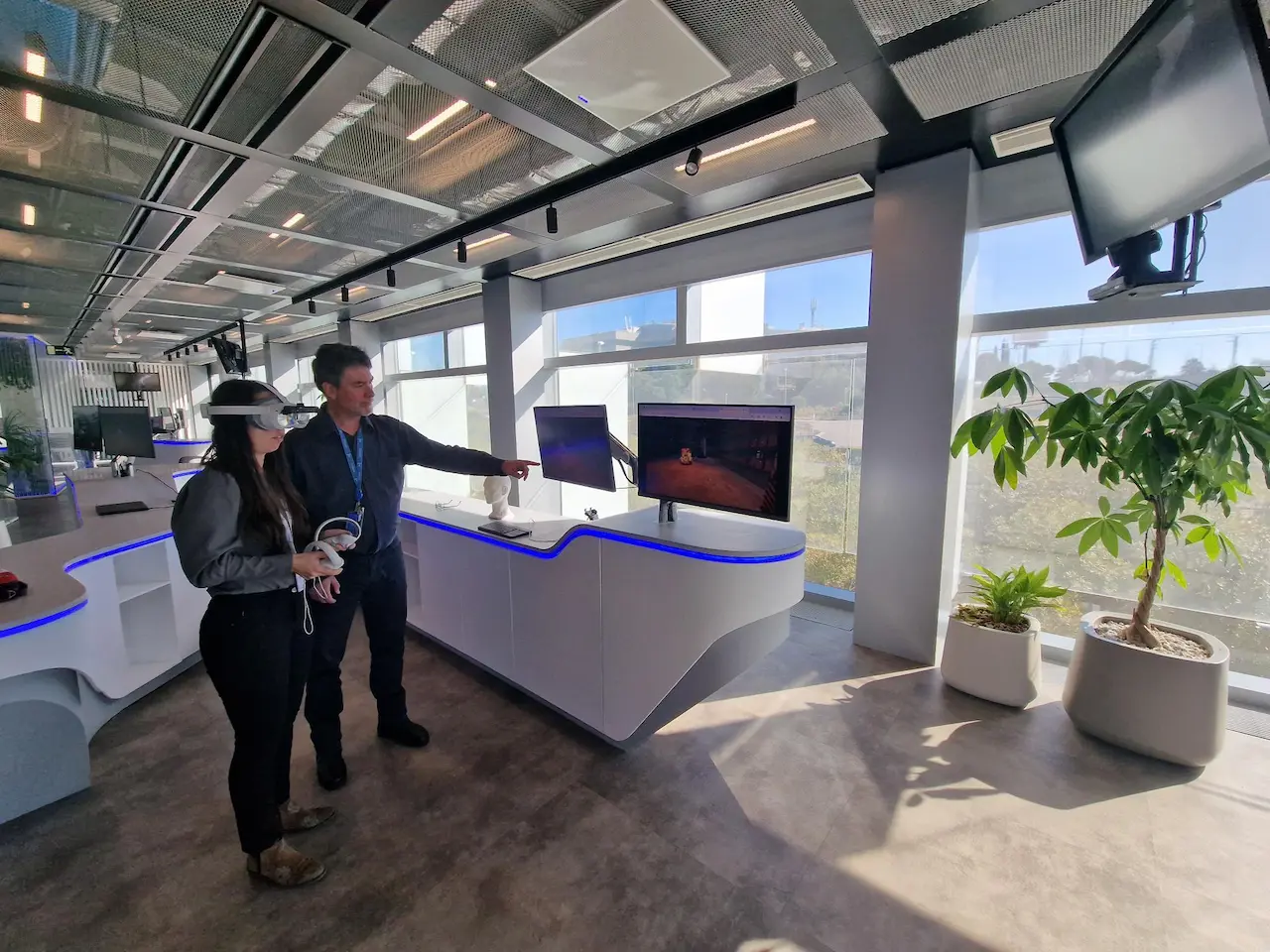 Innovación y capacidad operativa