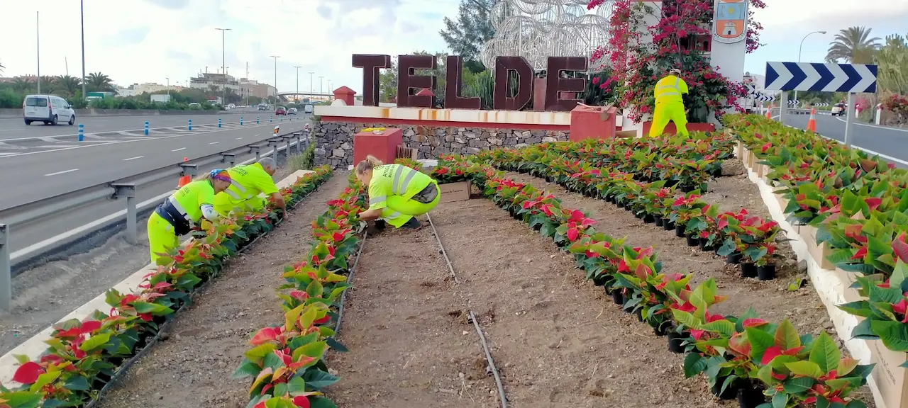 Imagen de Jardinería y zonas verdes